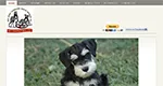 New Jersey Schnauzer Rescue Network New Jersey Schnauzer Rescue Network