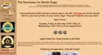 Sanctuary for Senior Dogs